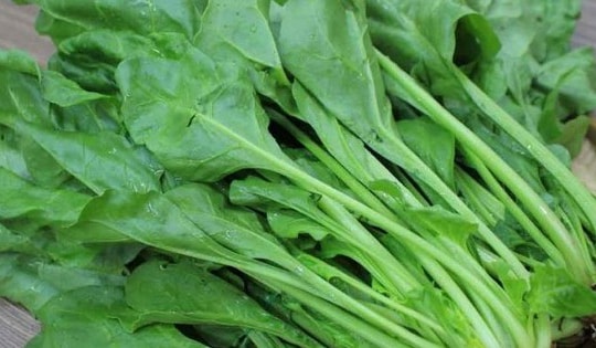 Trồng các loại rau này, chẳng cần tốn quá nhiều công sức mà lại có rau sạch để ăn cả năm không hết