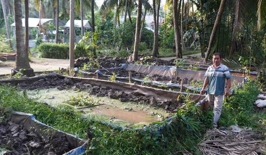 Thầy giáo miền Tây nuôi loài vật "đẻ quanh năm", thu lãi 2 tỷ đồng/năm rất nhẹ nhàng