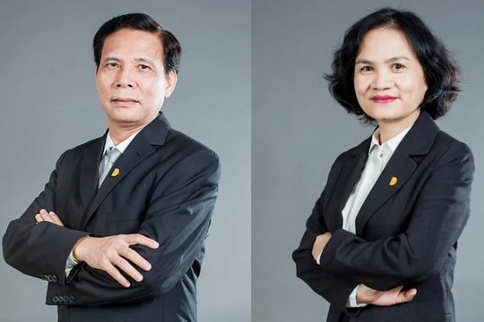 Chồng Chủ tịch VNDirect được bổ nhiệm làm Phó chủ tịch