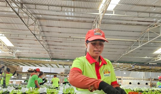 CEO Hạnh Chuối: ‘Giờ tôi ngồi một chỗ cũng có đơn hàng’