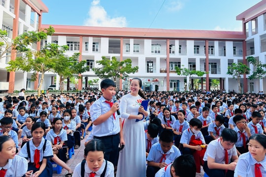 QUY ĐỊNH MỚI: Điều kiện, thủ tục thành lập trường tiểu học áp dụng từ 20/11