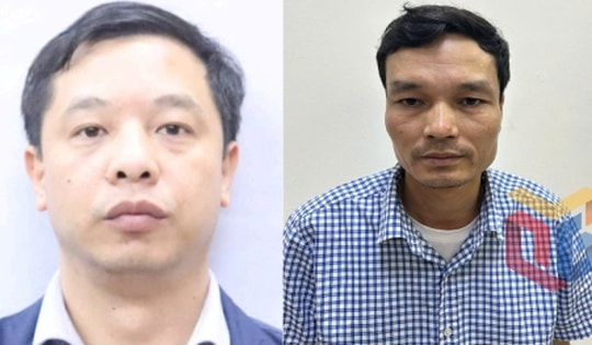 Phó Tổng Giám đốc Công ty Cổ phần xi măng Hạ Long bị  bắt