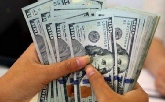 Tỷ giá USD/VND hôm nay 14/10/2024: Đầu tuần có tăng?