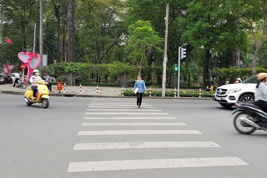 Gặp biển nào người lái xe phải nhường đường cho người đi bộ?