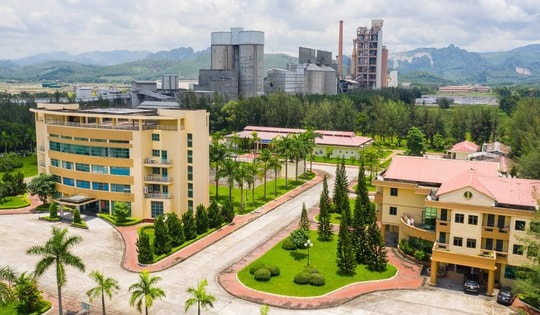 Quảng Ninh: Khởi tố Phó Tổng Giám đốc Công ty Cổ phần xi măng Hạ Long cùng 7 thuộc cấp