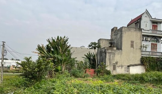 Thêm hai phó chủ tịch huyện ở Thanh Hóa bị khởi tố, tạm giam