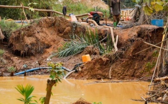 Giá vàng tăng phi mã gần 30%, bùng nổ nạn khai thác vàng trái phép