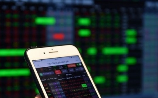 "Sóng thần" thị trường hiếm có, sau Trung Quốc, ‘cá mập’ Mỹ đổ tiền vào đâu?