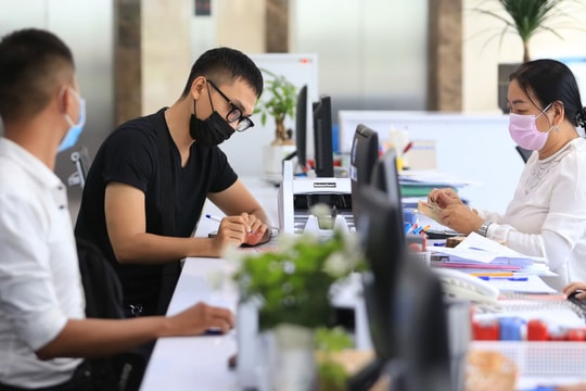 Các tổ chức kinh doanh dịch vụ tư vấn du học từ ngày 20/11/2024