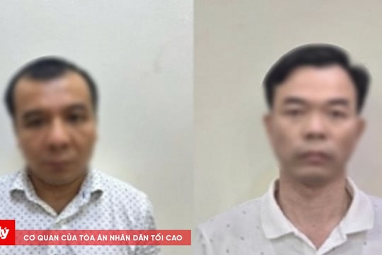 Vì sao Phó TGĐ Công ty Xi măng Hạ Long và 7 đồng phạm bị bắt?