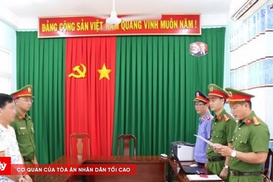 Giám đốc Công ty chiếm đoạt tài sản trị giá 48 tỷ đồng