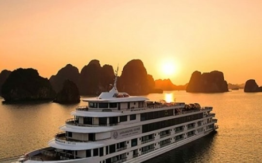 Hơn 200 tỷ phú thế giới sắp đi du thuyền sang Việt Nam