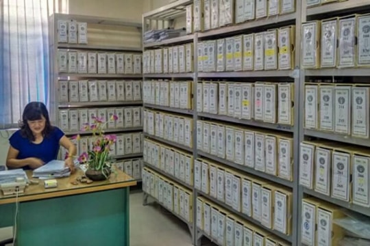 Tiêu chuẩn về trình độ đối với vị trí Lưu trữ viên