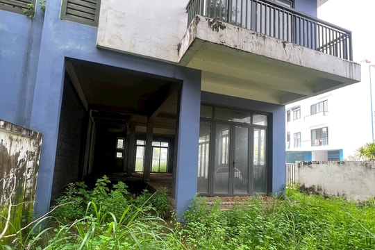 Những căn liền kề nằm phơi nắng, phơi mưa giữa khu đô thị nghìn tỉ: Trộm vào cắt cửa, cỏ mọc um tùm