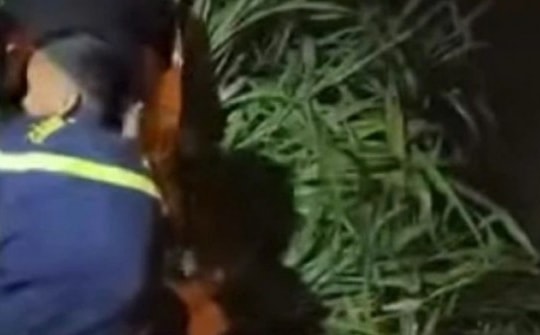 Điều tra vụ nam thanh niên tử vong sau cuộc nhậu ở TP Thủ Đức