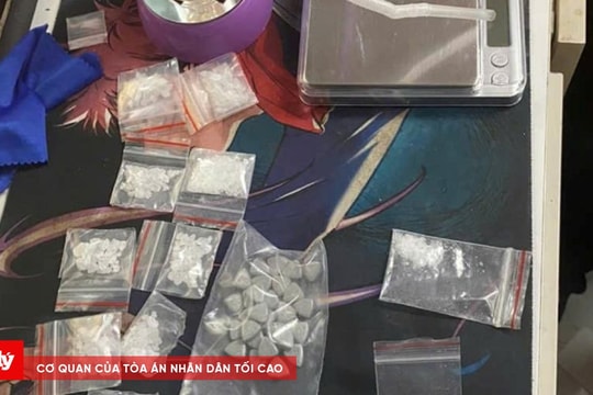 Triệt phá thành công 2 vụ mua bán trái phép chất ma túy