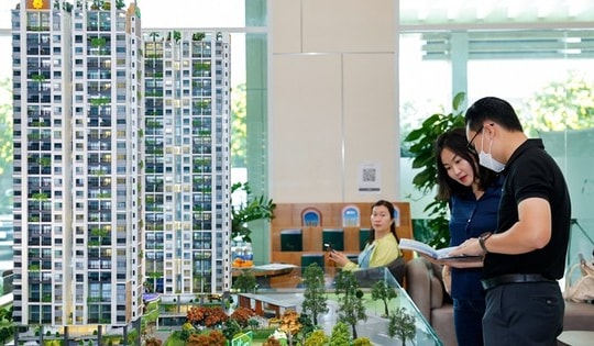 Môi giới bất động sản đang tự điều chỉnh sau giai đoạn phát triển nóng