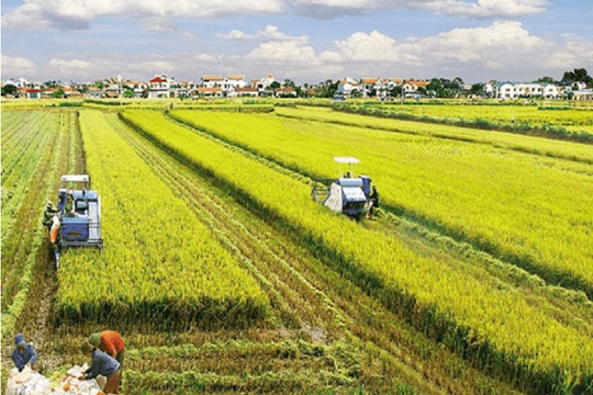 Trường hợp nào không phải gia hạn khi hết thời hạn sử dụng đất theo quy định mới?