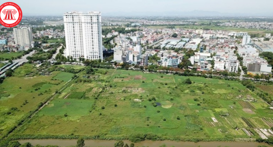 Hạn mức các loại đất để thực hiện việc giao đất cho cá nhân sử dụng đất tại Bà Rịa-Vũng Tàu từ 22/10/2024