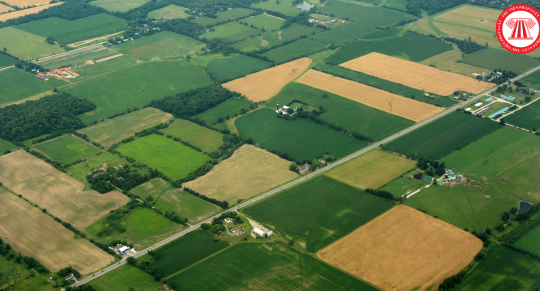 Hạn mức đất ở khi công nhận quyền sử dụng đất cho hộ gia đình trên địa bàn tỉnh Bà Rịa-Vũng Tàu từ 22/10/2024