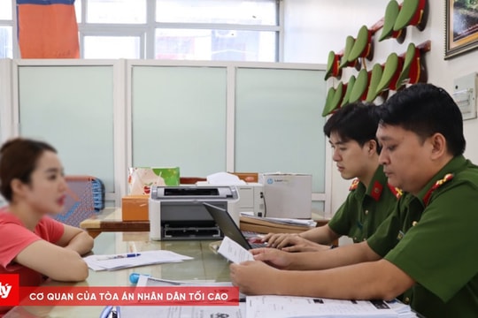 Hot girl lừa đảo, chiếm đoạt hơn 40 tỷ đồng