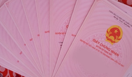 Làm giả tài liệu, lập khống hồ sơ vay vốn, Trưởng phòng giao dịch ngân hàng ABBank bị bắt và khởi tố

