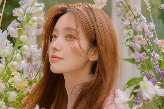 Lời chúc ấm áp mừng Ngày Phụ nữ Việt Nam 20/10