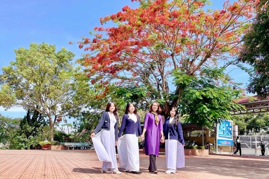 Thầy giáo nhận xét về đề thi tham khảo môn Toán tốt nghiệp THPT và các kiến nghị