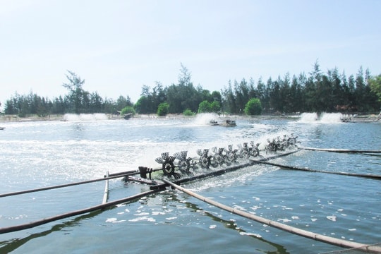 Đất nuôi trồng thủy sản chuyển sang đất trồng cây lâu năm được không?