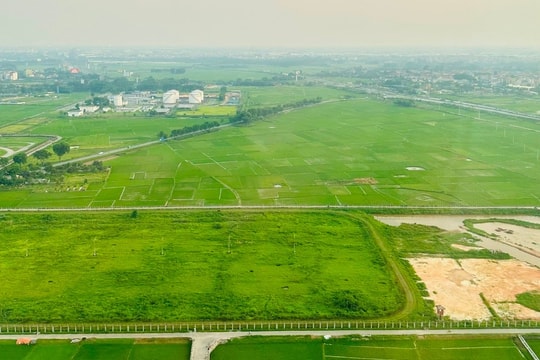 Tổng cục Thuế giải đáp chính sách miễn tiền thuê đất