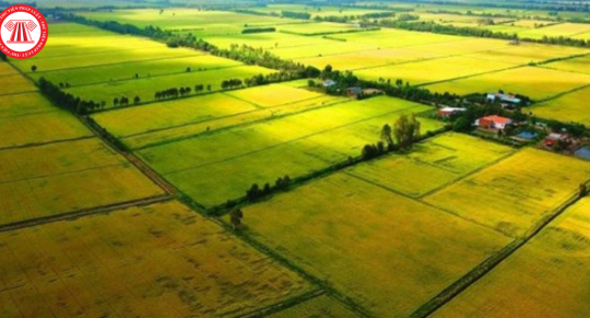 Hạn mức giao đất đối với đồng bào dân tộc thiểu số trên địa bàn tỉnh Đồng Nai từ 01/11/2024