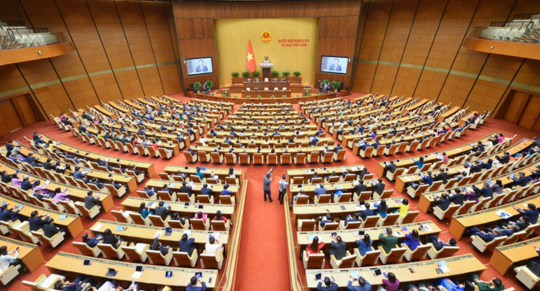 Người mang 02 quốc tịch có thể ứng cử trở thành đại biểu Quốc hội, Chủ tịch nước hay không?