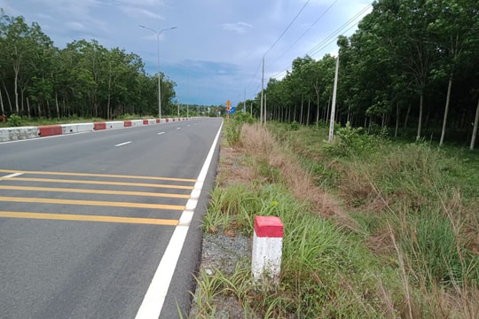 Từ 01/01/2025, việc sử dụng đất hành lang an toàn đường bộ phải bảo đảm quy định nào?