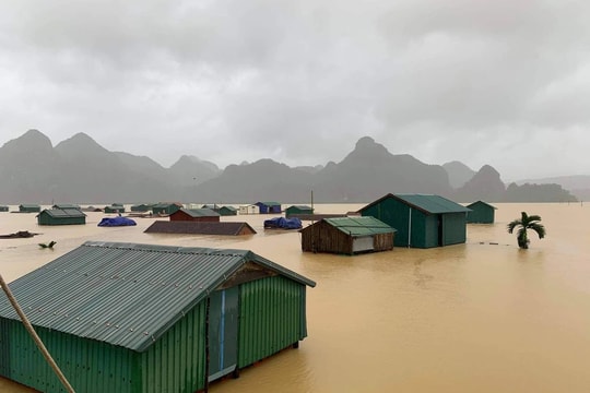 Bộ GD&ĐT hướng dẫn khen thưởng thành tích xuất sắc đột xuất trong phòng chống bão lụt