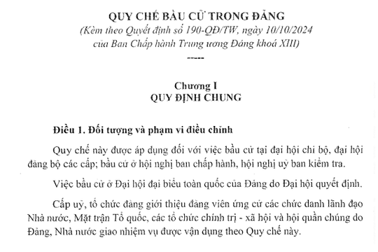 Quy chế bầu cử đại hội chi bộ, đại hội đảng bộ các cấp thực hiện theo Quyết định 190-QĐ/TW