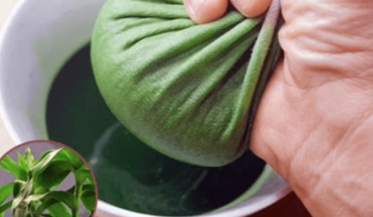 Thực hư công dụng của cây lược vàng với người bệnh tiểu đường? Tham khảo 3 bài thuốc hỗ trợ chữa bệnh