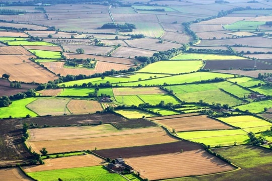 Thế chấp đất nông nghiệp để vay ngân hàng được không?