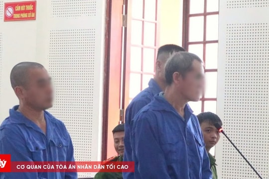 Vừa ra tù lại tiếp tục phạm tội