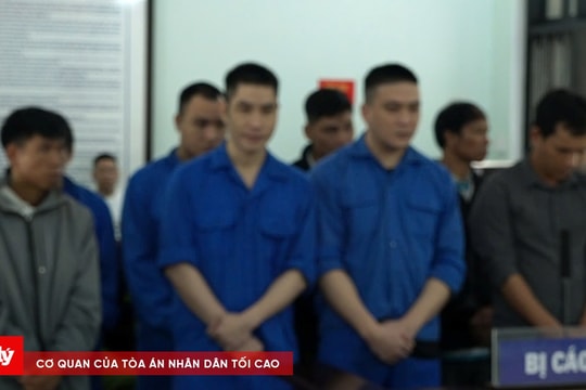 Xét xử các bị cáo trong đường dây mua bán, vận chuyển gỗ trái phép