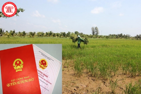 Có được thế chấp đất nông nghiệp để vay ngân hàng hay không?