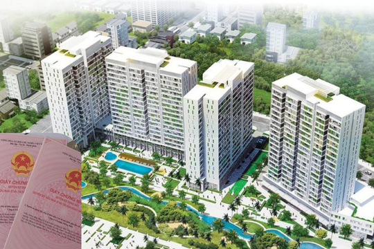 Thủ tục mua chung cư chưa có sổ hồng mới nhất 2024