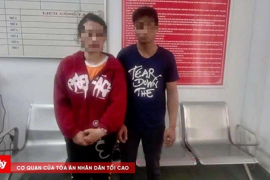 Nữ “đạo chích” dây điện cùng đồng phạm sa lưới