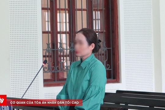 Đưa người trốn đi nước ngoài trái phép