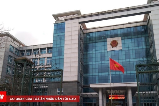 UBND TP. Huế thua kiện, buộc phải cấp Giấy chứng nhận quyền sử dụng đất cho người dân