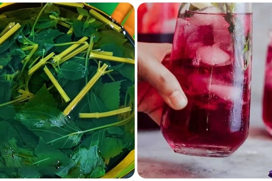 Công thức nấu nước lá tía tô tốt cho sức khoẻ