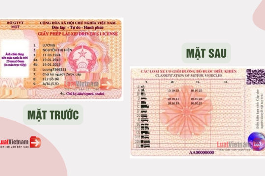 Đề xuất 2 mẫu Giấy phép lái xe mới từ 01/01/2025