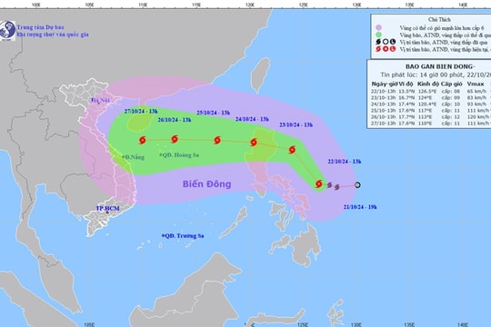 Bão TRAMI (bão số 6) sẽ ảnh hưởng mạnh đến những tỉnh nào?