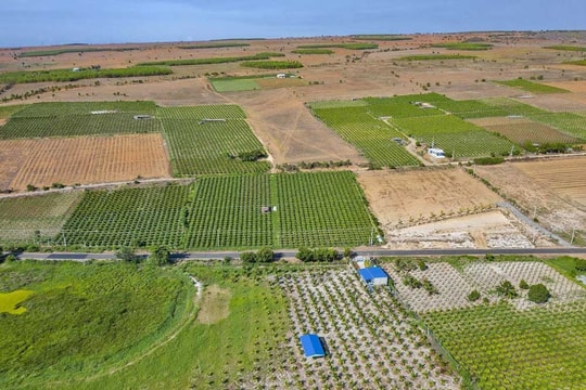 Đã có Quy định về bồi thường, hỗ trợ, tái định cư khi Nhà nước thu hồi đất tỉnh Bình Thuận