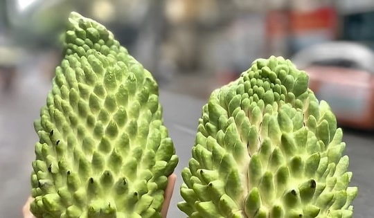 Chỉ 2 năm, loại quả Việt giá đắt nhất thành hàng bình dân bán đầy chợ