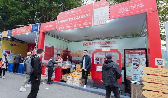 Trong Ngày mua sắm trực tuyến Việt Nam, người tiêu dùng được mua hàng ưu đãi với 3 hình thức